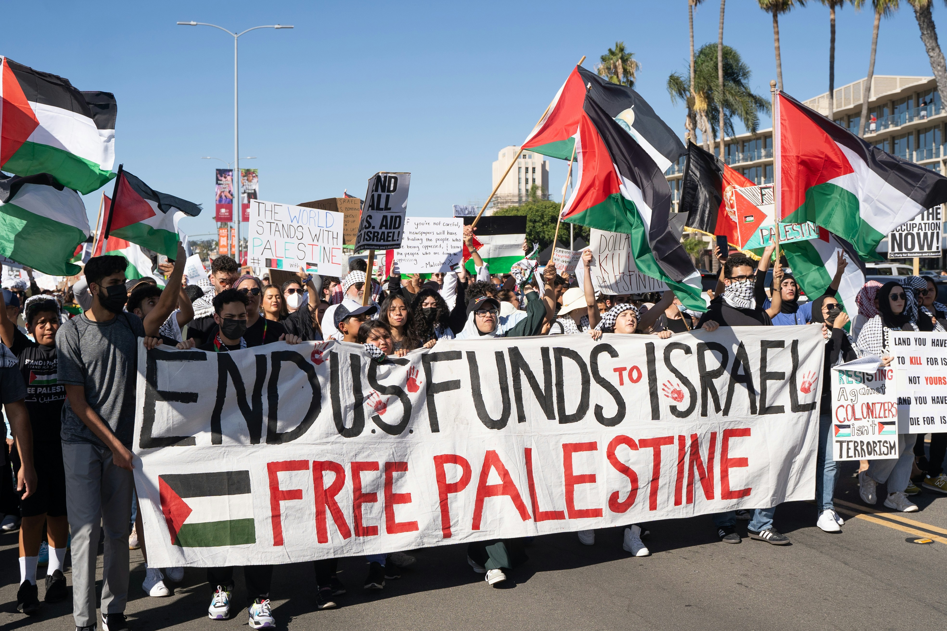 Pro-Palestinian demonstrators holding Palestinian flags and signs.